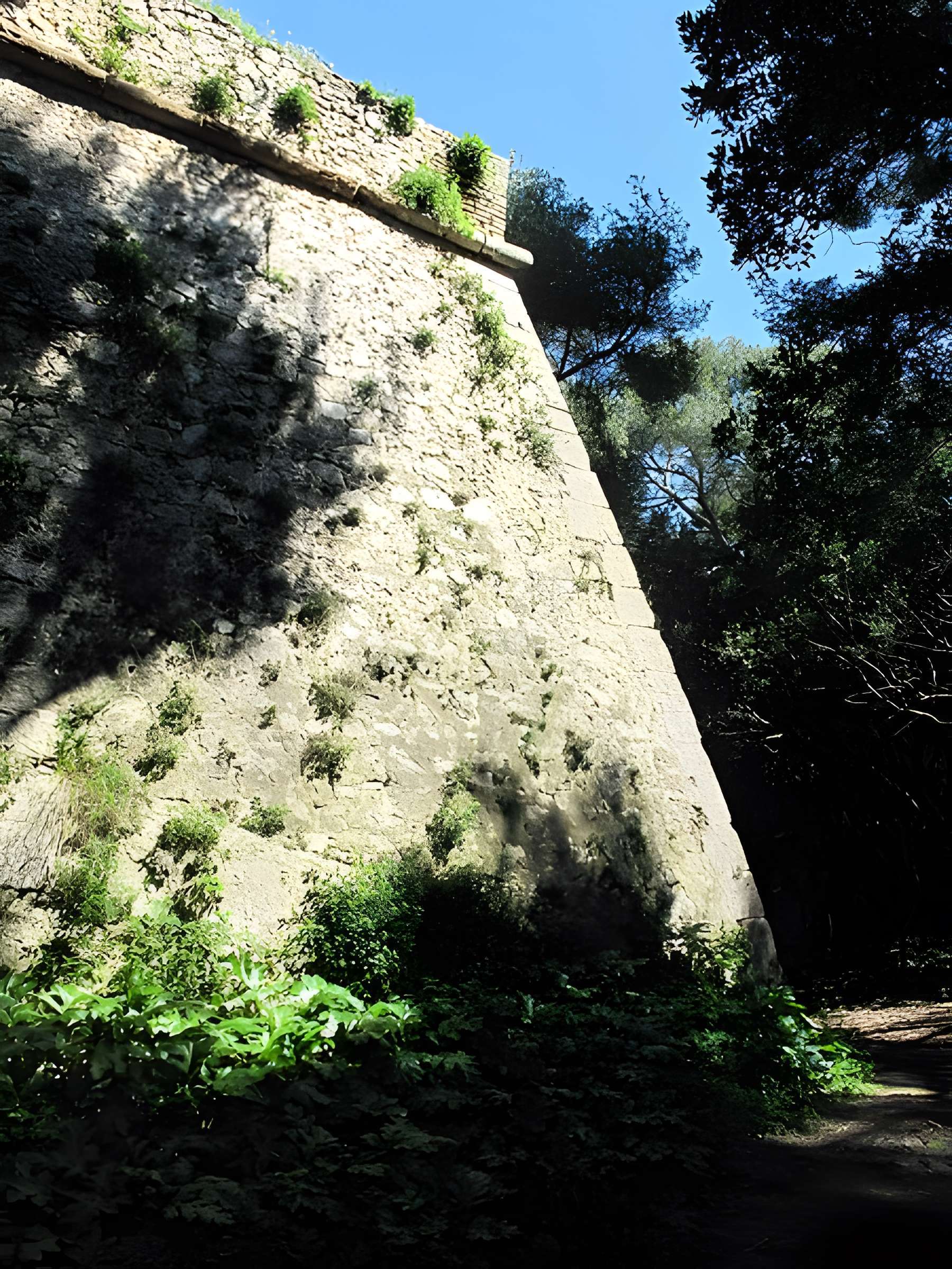 Musée de la Mer de Cannes