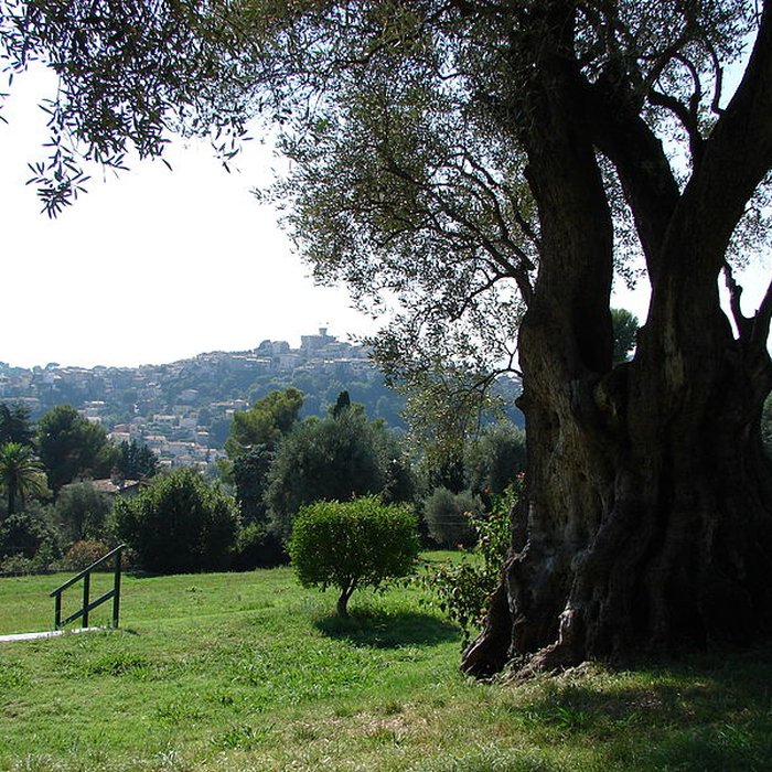 Photo de Musée Renoir de Cagnes-sur-Mer
