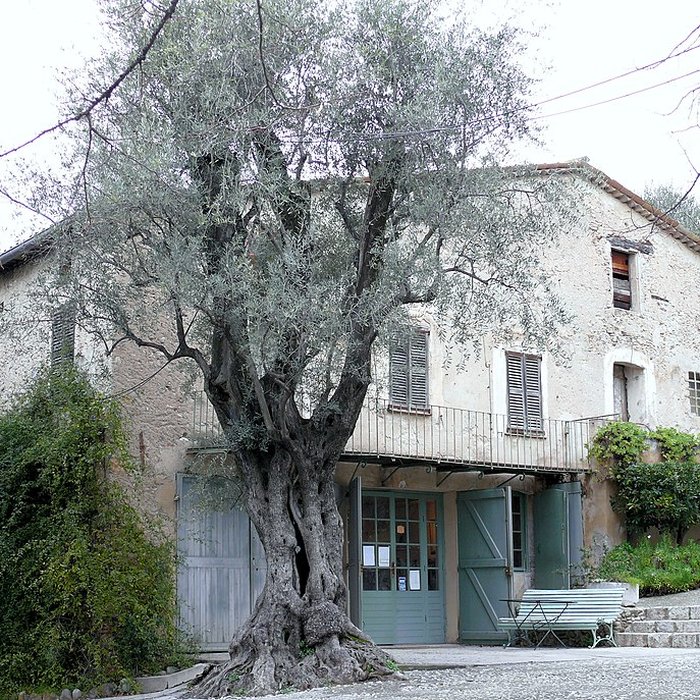 Photo de Musée Renoir de Cagnes-sur-Mer