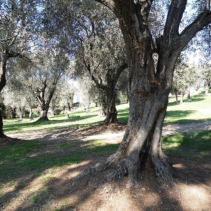 Photo de Musée Renoir de Cagnes-sur-Mer
