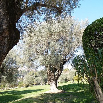 Musée Renoir de Cagnes-sur-Mer