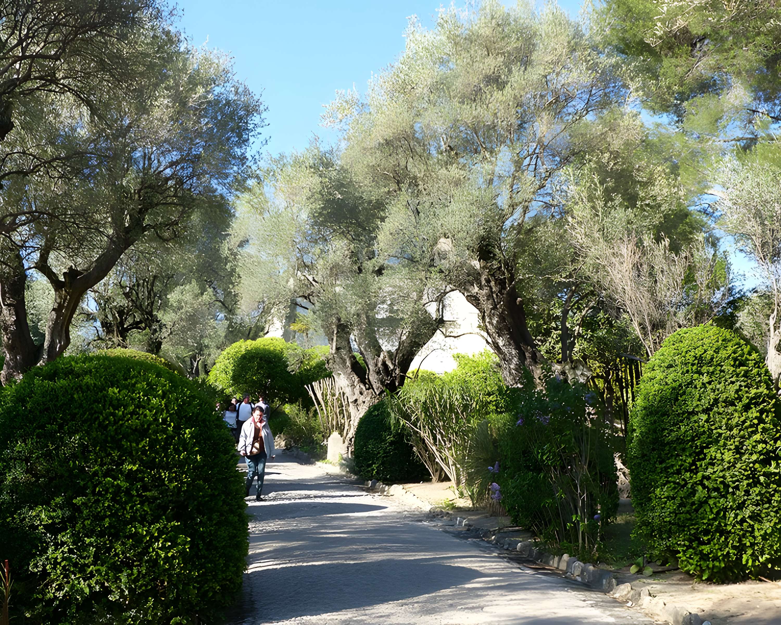Musée Renoir de Cagnes-sur-Mer