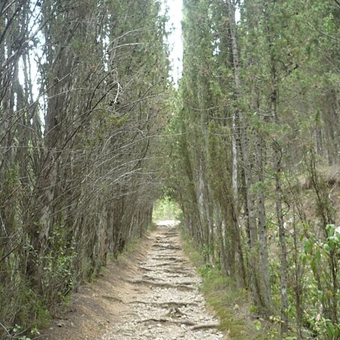 Photo de Château de Tautavel