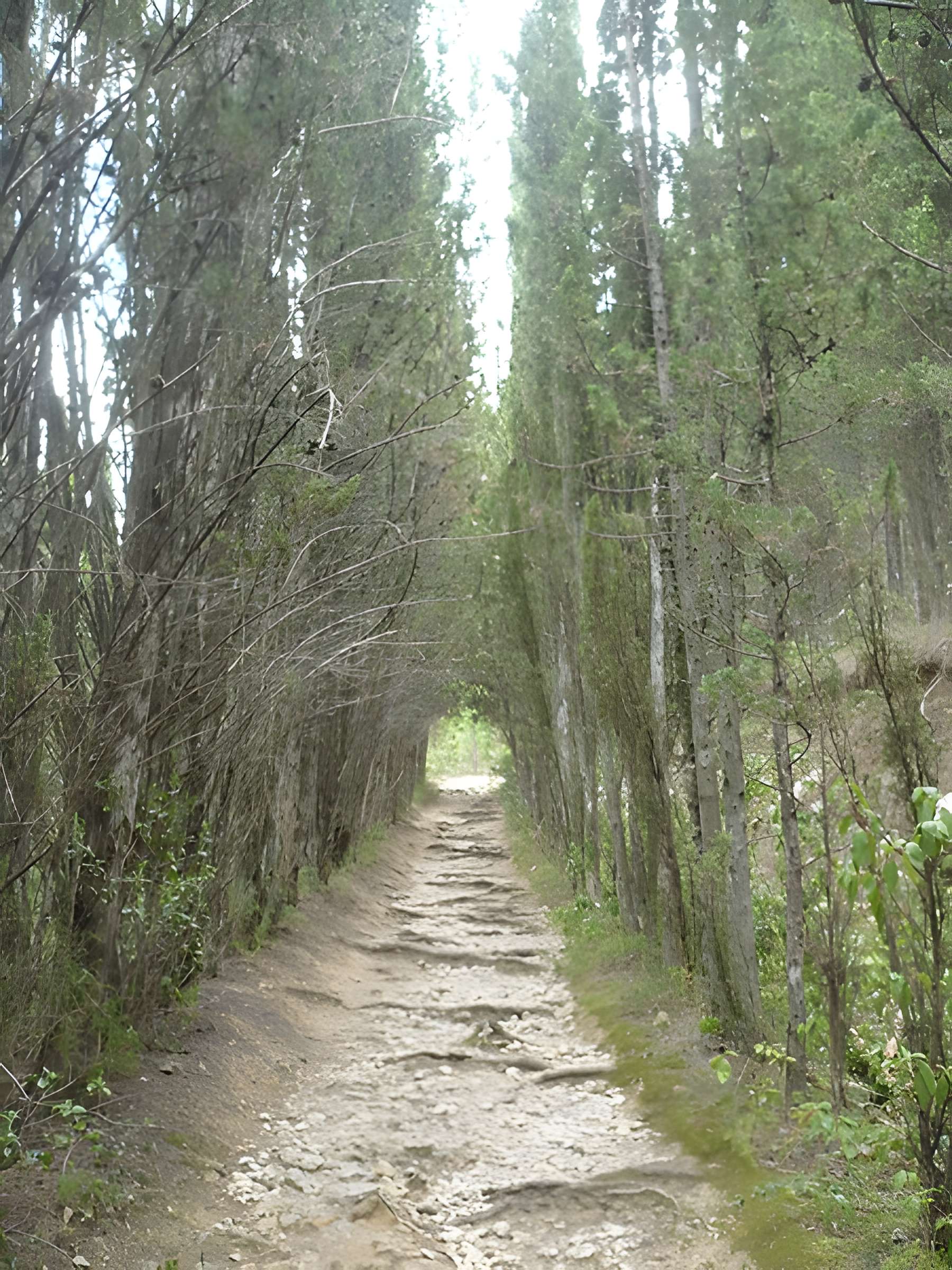 Château de Tautavel