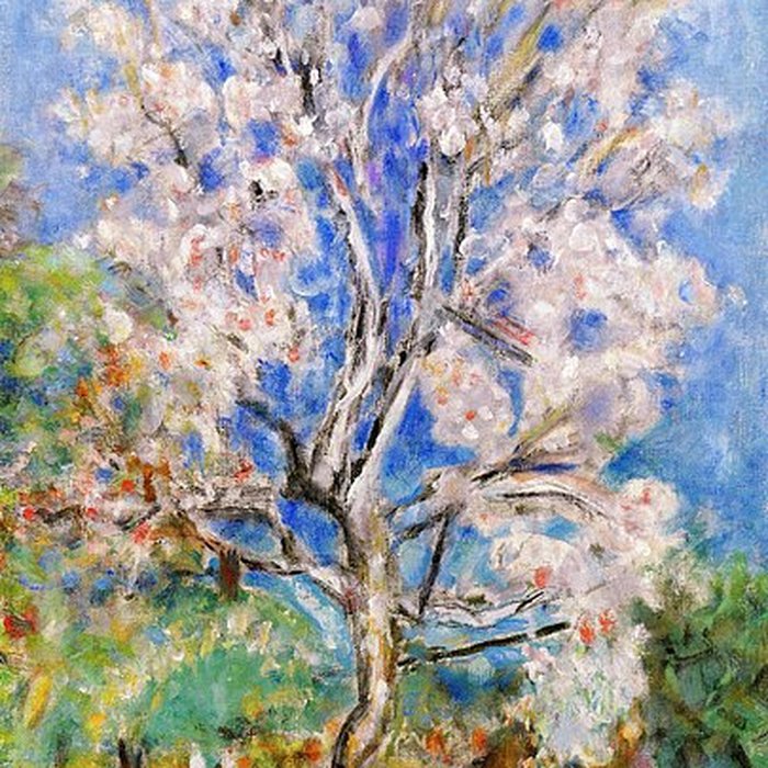 Photo de Musée Bonnard au Cannet