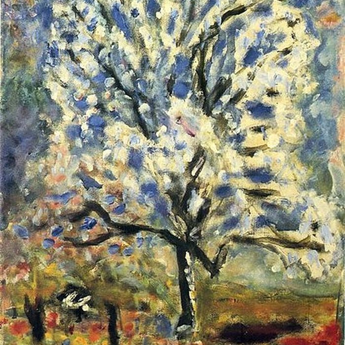 Photo de Musée Bonnard au Cannet