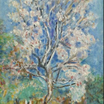 Musée Bonnard au Cannet