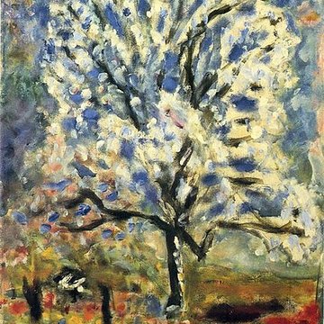 Musée Bonnard au Cannet