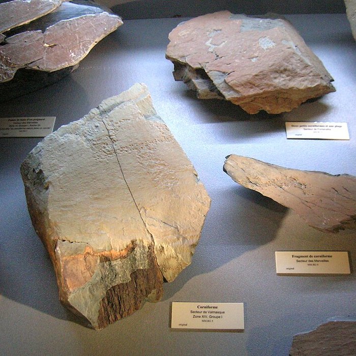 Photo de Musée départemental des Merveilles à Tende