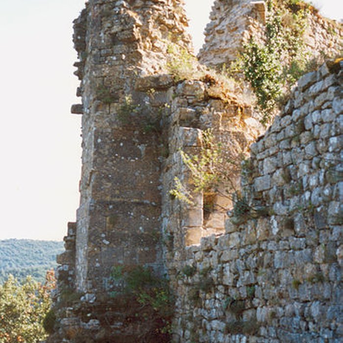 Photo de Château de Termes