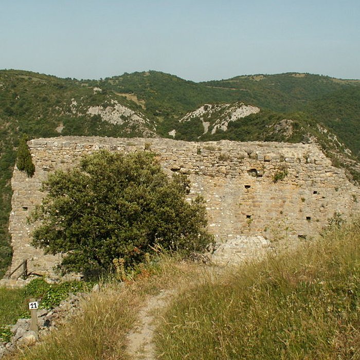 Photo de Château de Termes