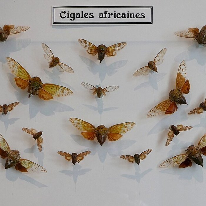 Photo de Musée des Alpilles à Saint-Rémy-de-Provence