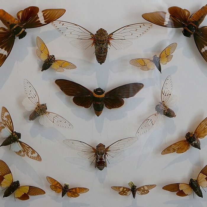 Photo de Musée des Alpilles à Saint-Rémy-de-Provence