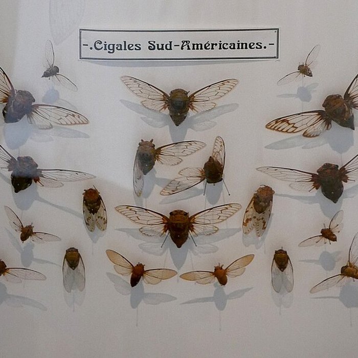 Photo de Musée des Alpilles à Saint-Rémy-de-Provence