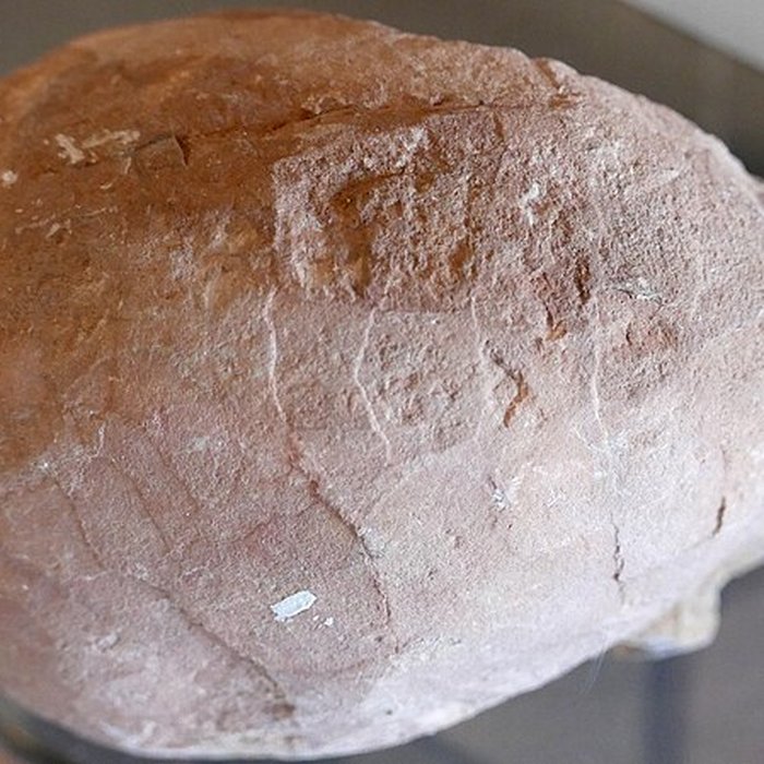 Photo de Musée des Alpilles à Saint-Rémy-de-Provence