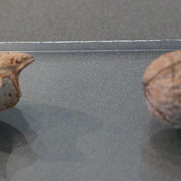 Musée des Alpilles à Saint-Rémy-de-Provence