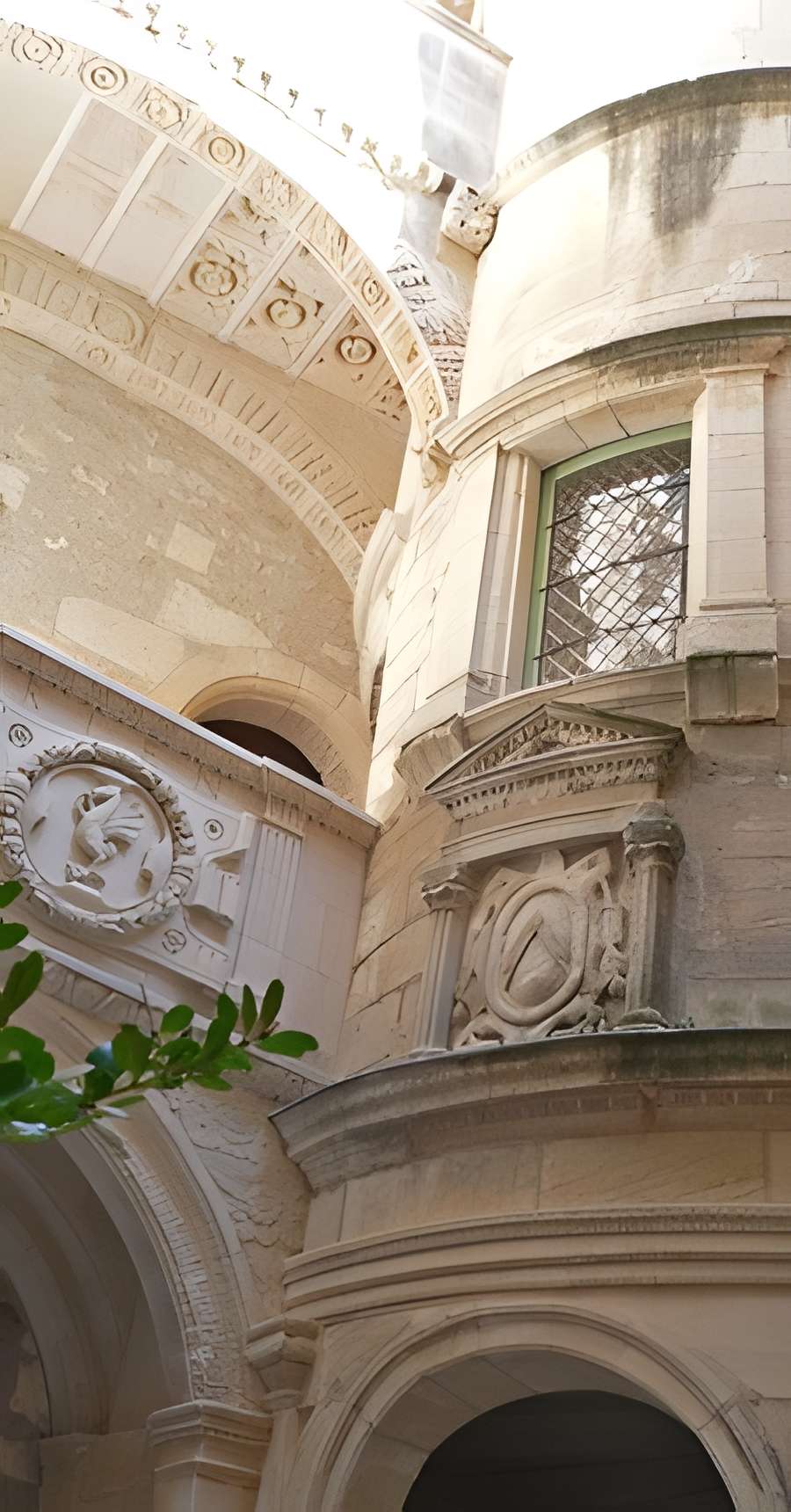 Musée des Alpilles à Saint-Rémy-de-Provence intérieur du musée