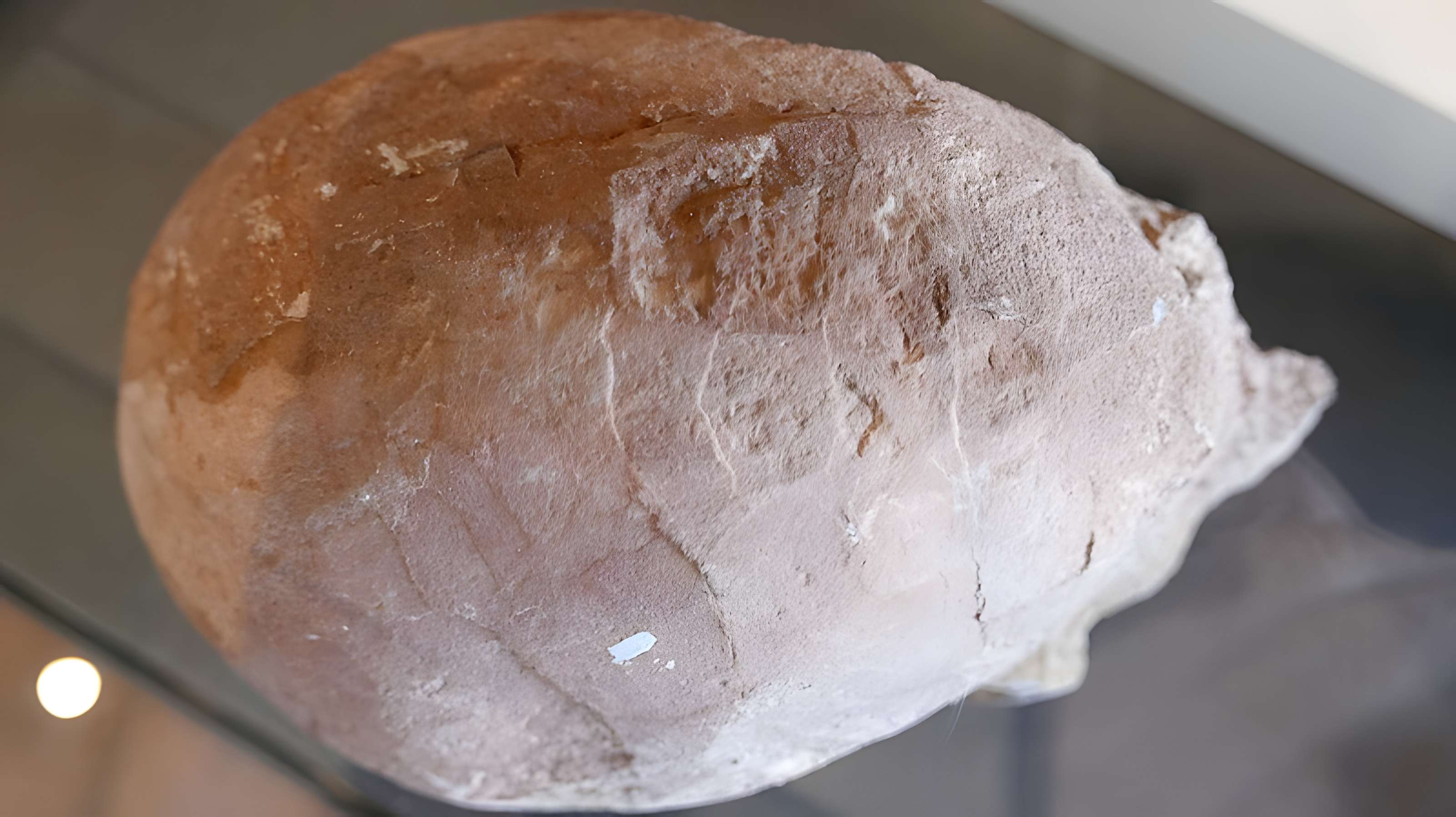 Musée des Alpilles à Saint-Rémy-de-Provence