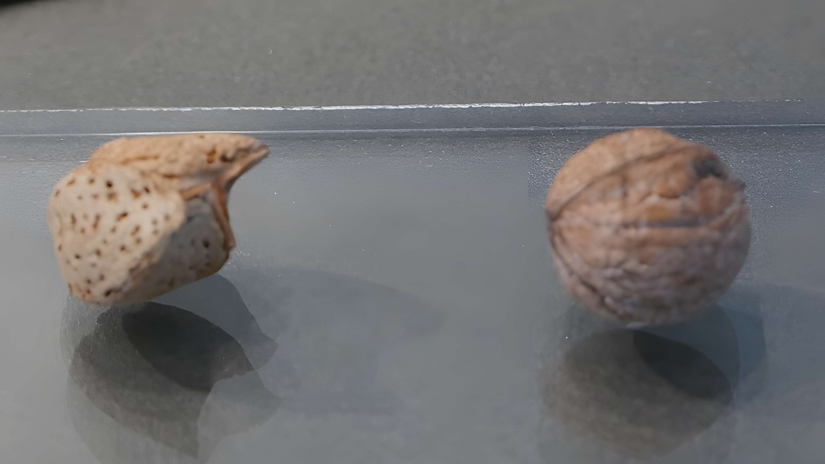 Musée des Alpilles à Saint-Rémy-de-Provence