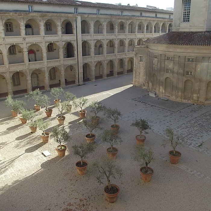 Photo de Le Centre de la Vieille Charité