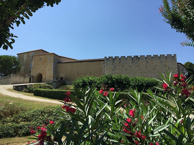Photo de Château de Terraube