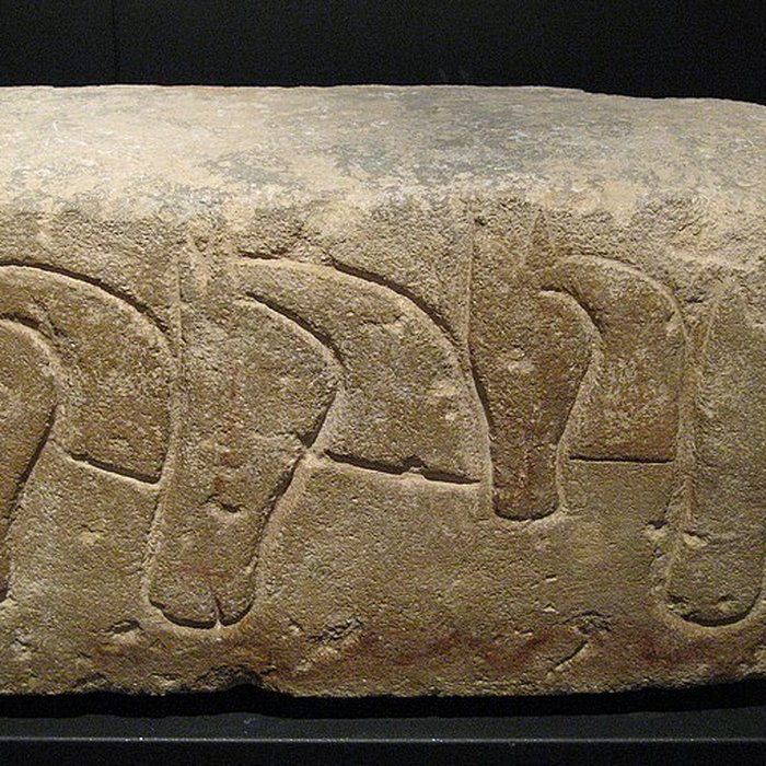 Photo de Musée darchéologie méditerranéenne de Marseille