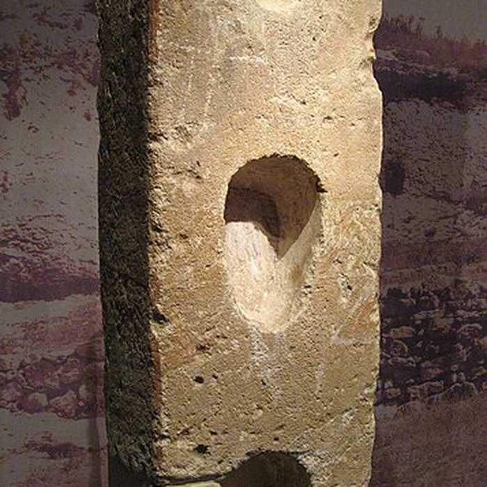 Photo de Musée darchéologie méditerranéenne de Marseille