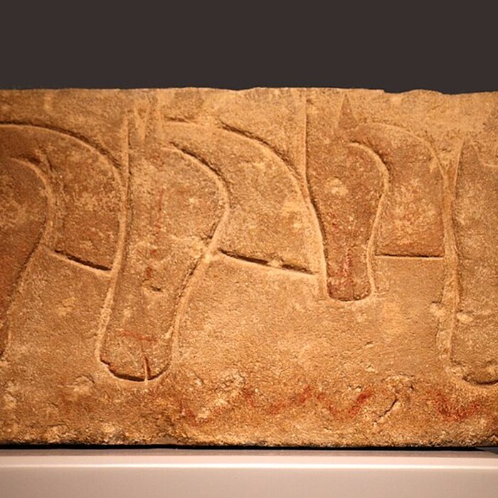 Photo de Musée darchéologie méditerranéenne de Marseille