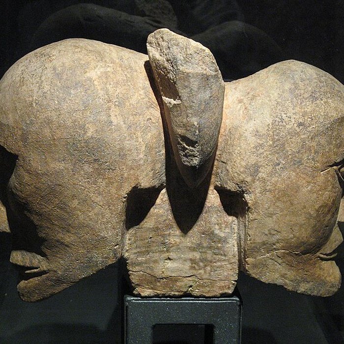 Photo de Musée darchéologie méditerranéenne de Marseille