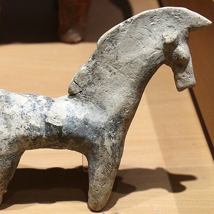 Photo de Musée darchéologie méditerranéenne de Marseille