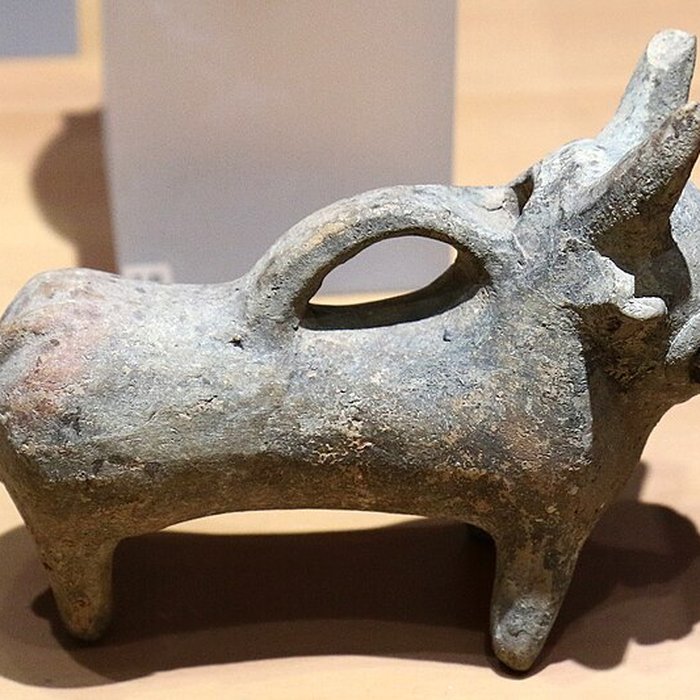 Photo de Musée darchéologie méditerranéenne de Marseille