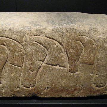 Musée darchéologie méditerranéenne de Marseille