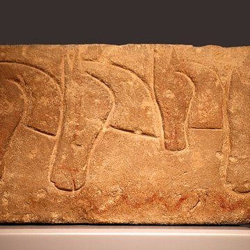 Musée darchéologie méditerranéenne de Marseille