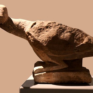 Musée darchéologie méditerranéenne de Marseille