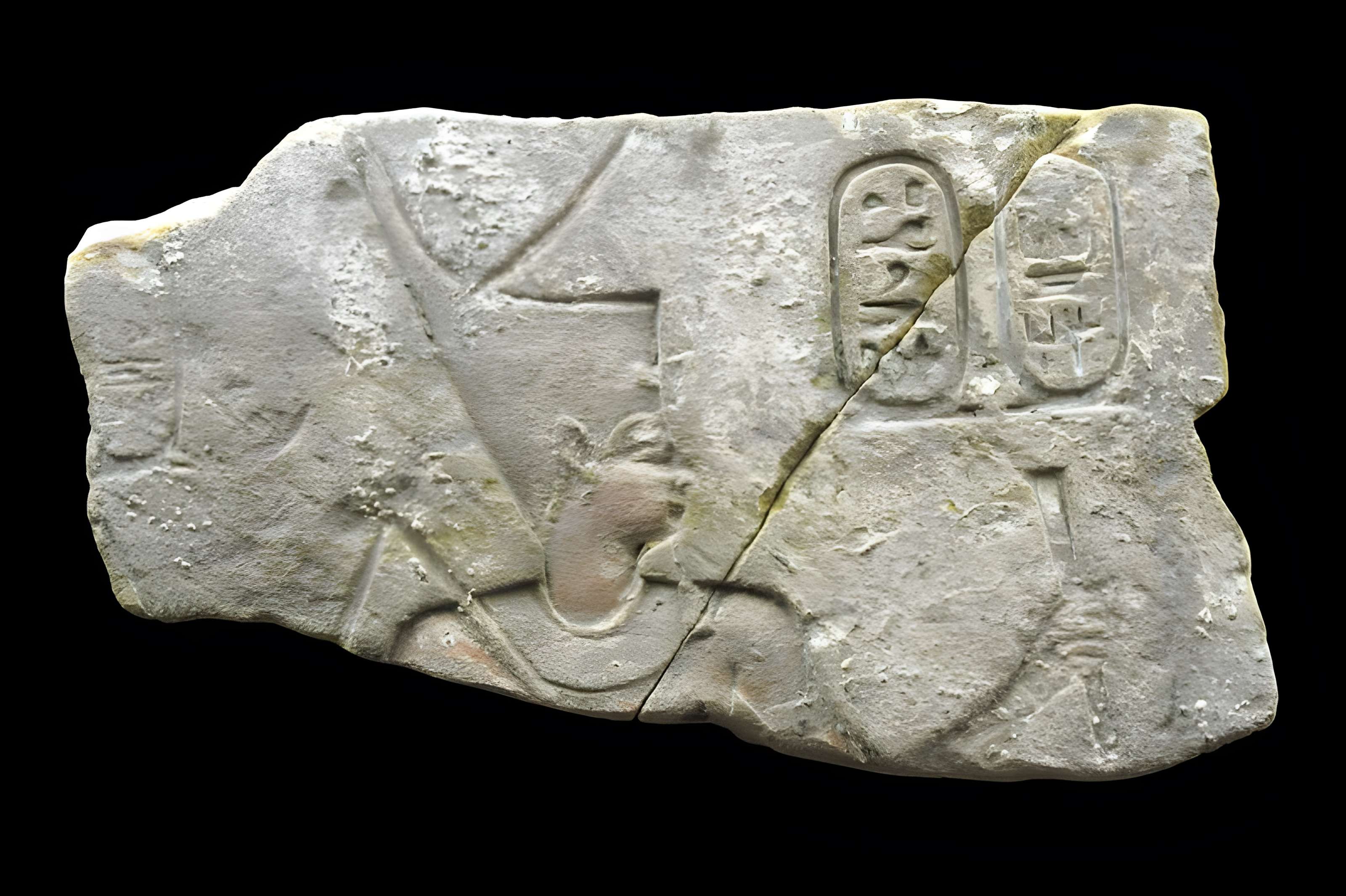 Musée d'archéologie méditerranéenne de Marseille