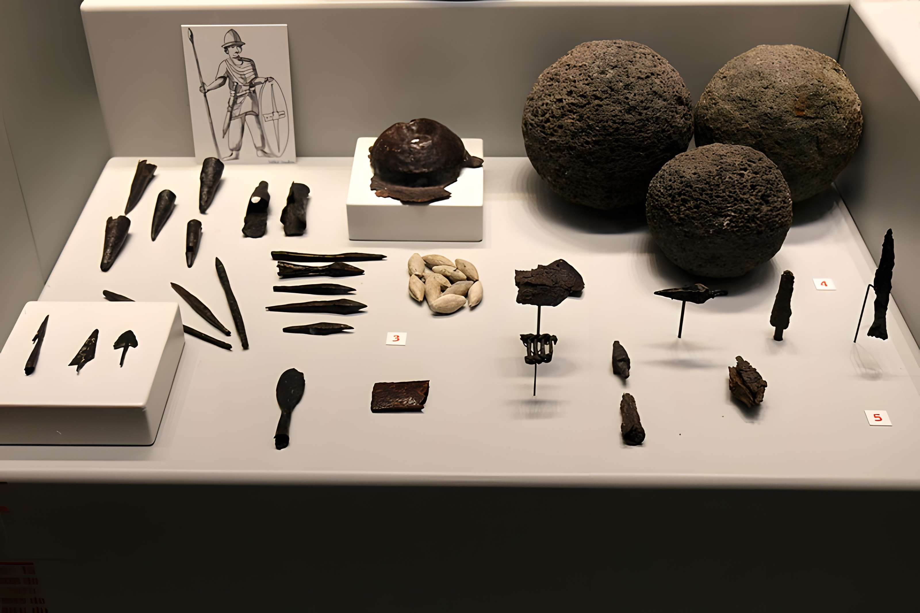 Musée d'archéologie méditerranéenne de Marseille