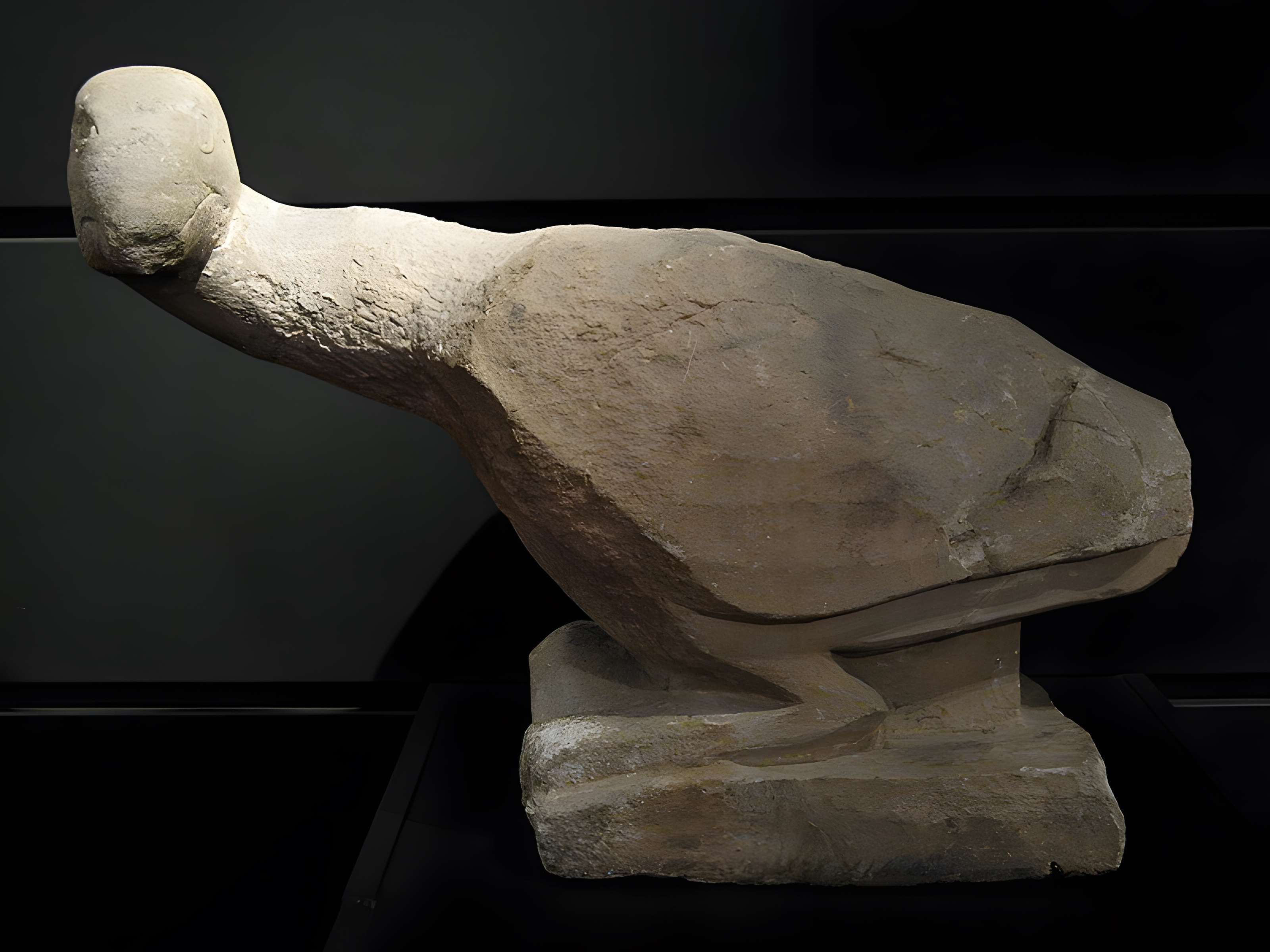 Musée d'archéologie méditerranéenne de Marseille