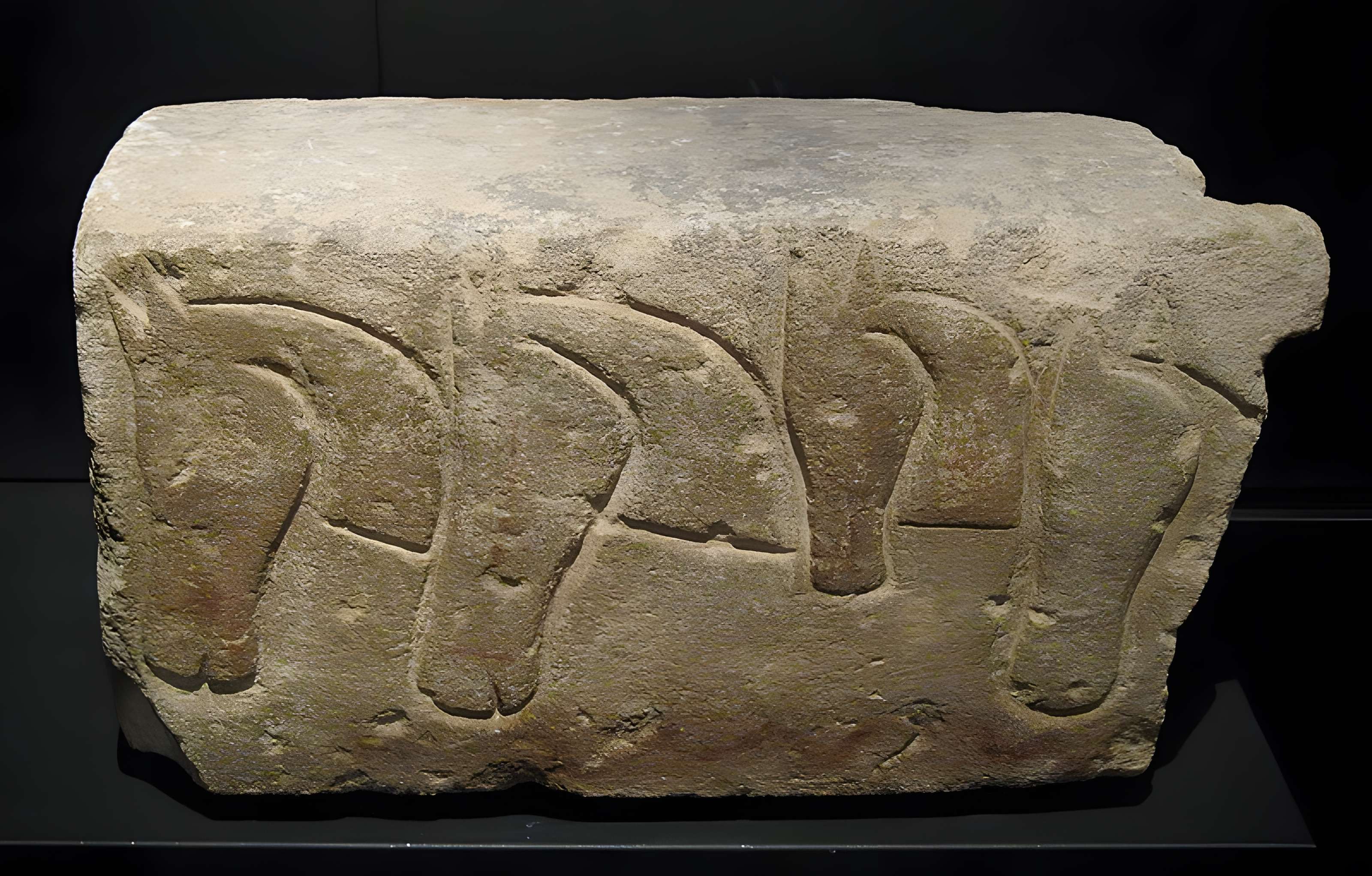 Musée d'archéologie méditerranéenne de Marseille