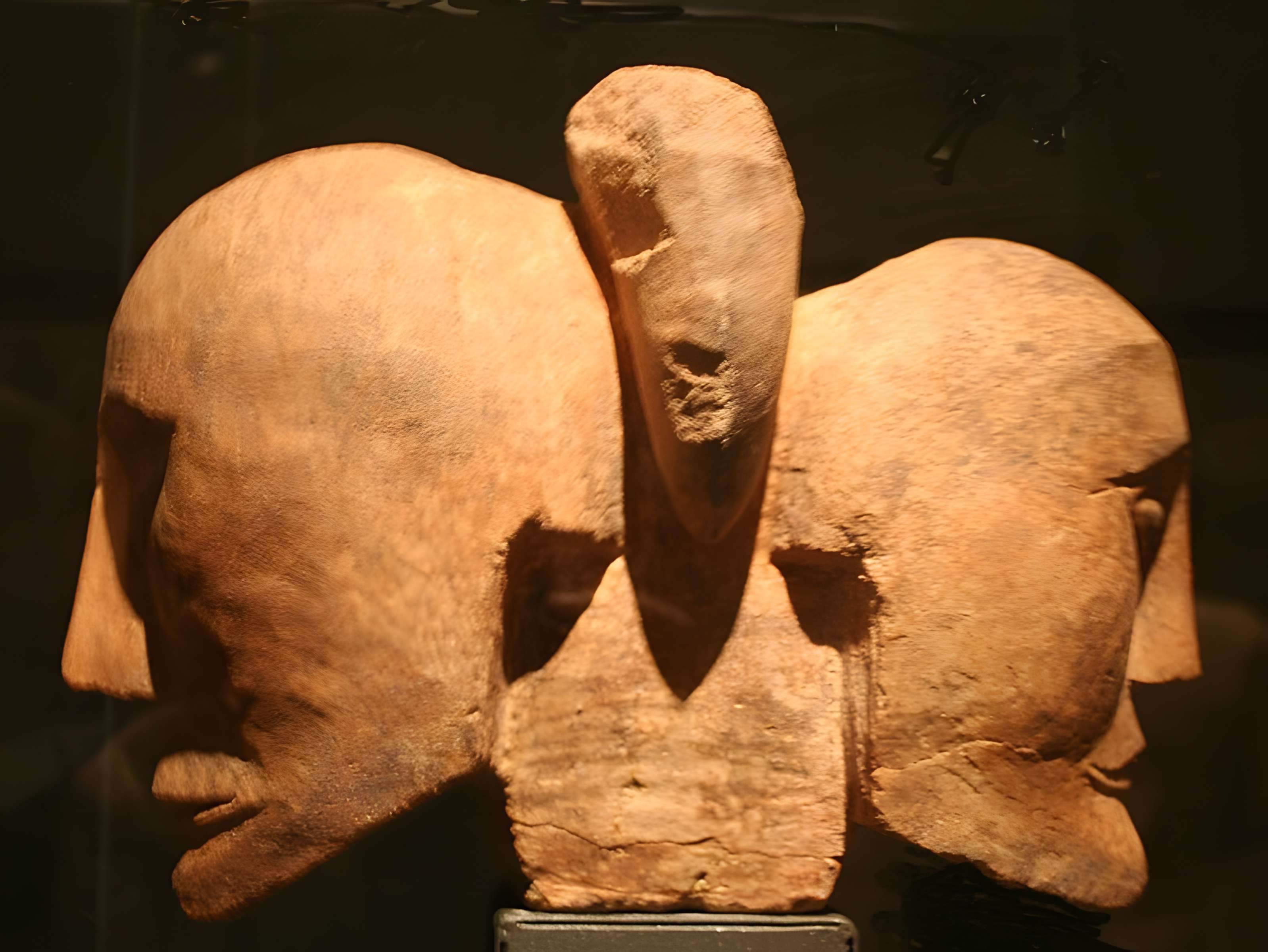 Musée d'archéologie méditerranéenne de Marseille