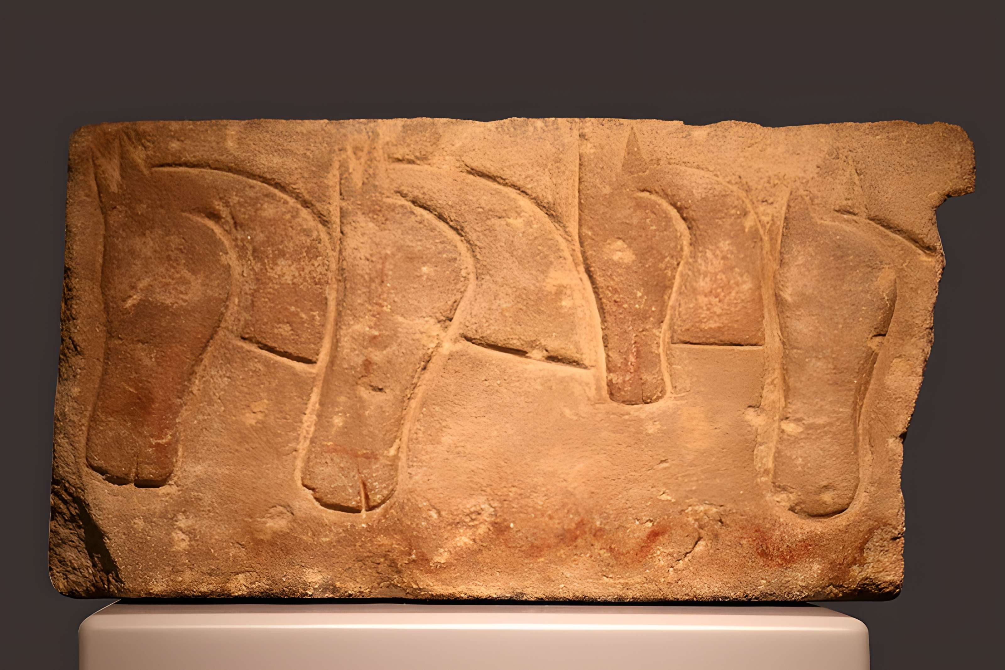 Musée d'archéologie méditerranéenne de Marseille