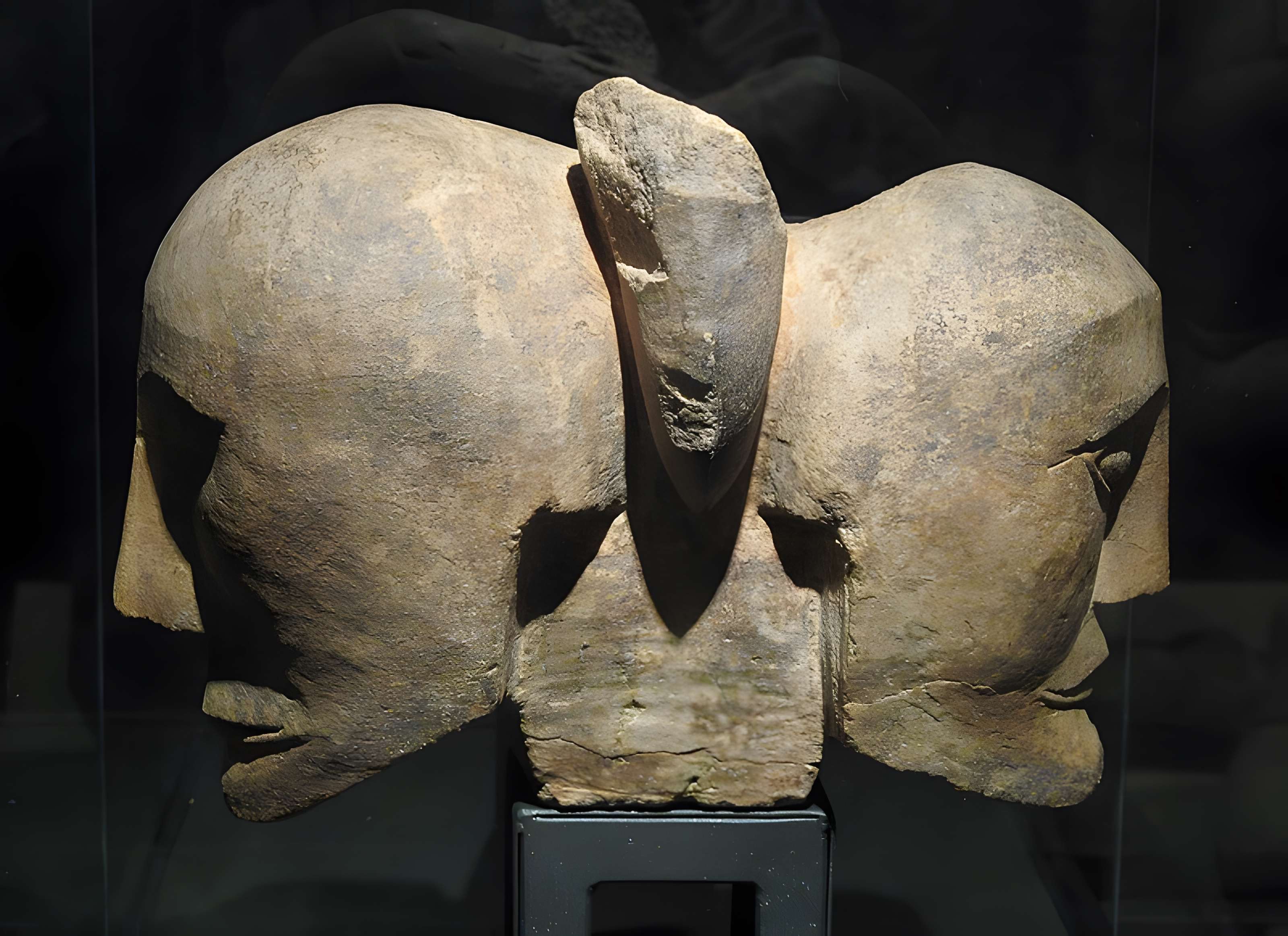 Musée d'archéologie méditerranéenne de Marseille