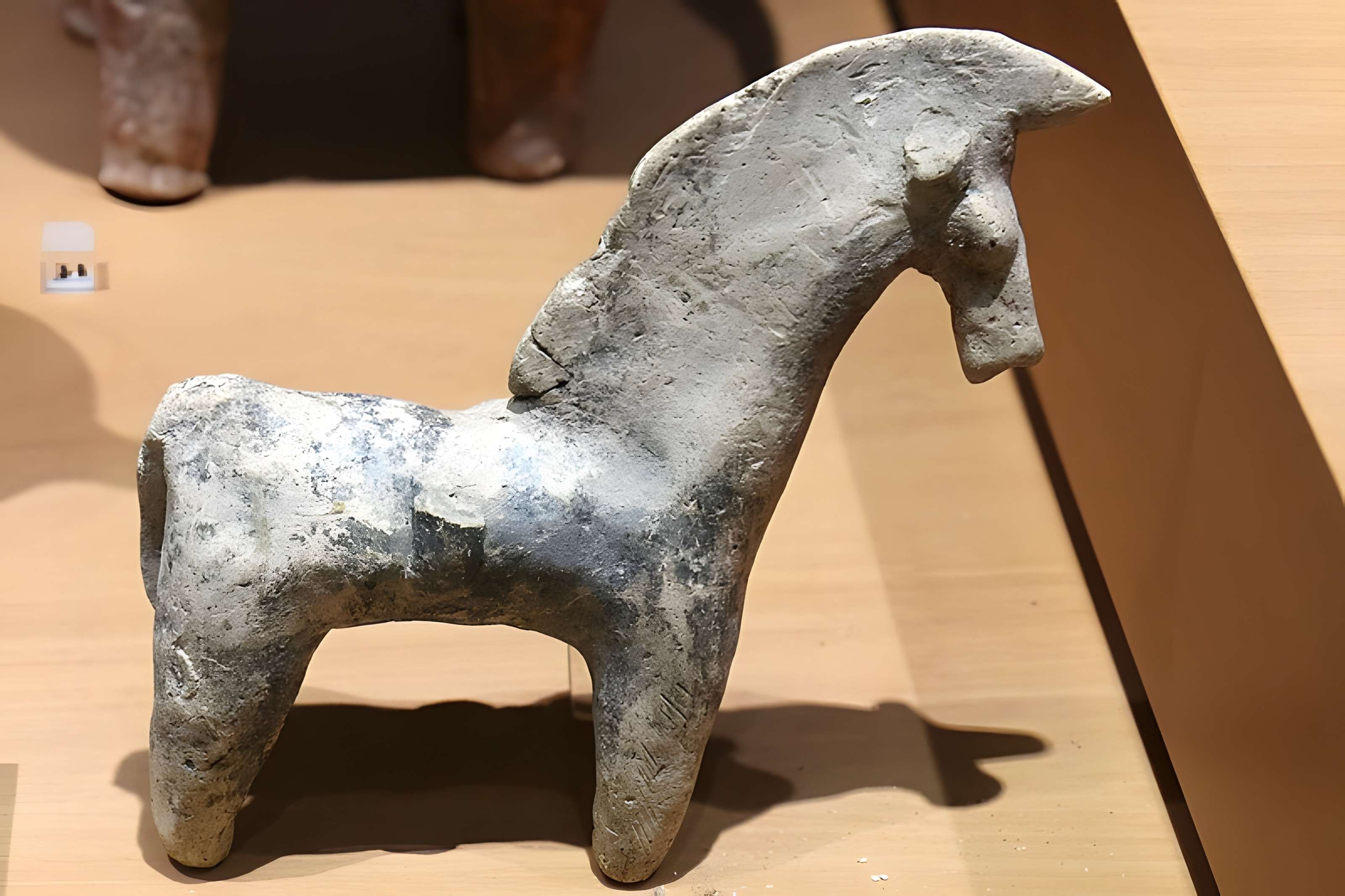 Musée d'archéologie méditerranéenne de Marseille