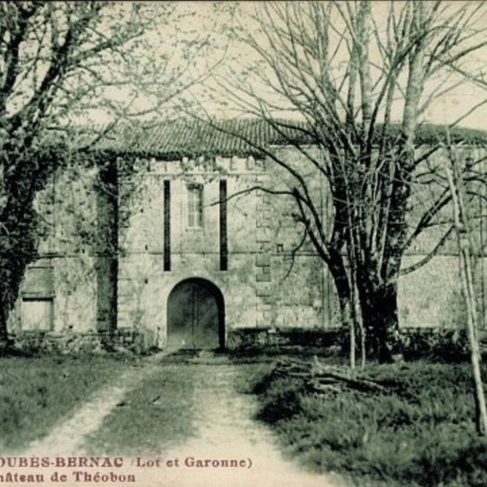 Photo de Château de Théobon
