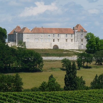 chateau de theobon