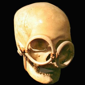 Musée des arts africains, océaniens et amérindiens à Marseille