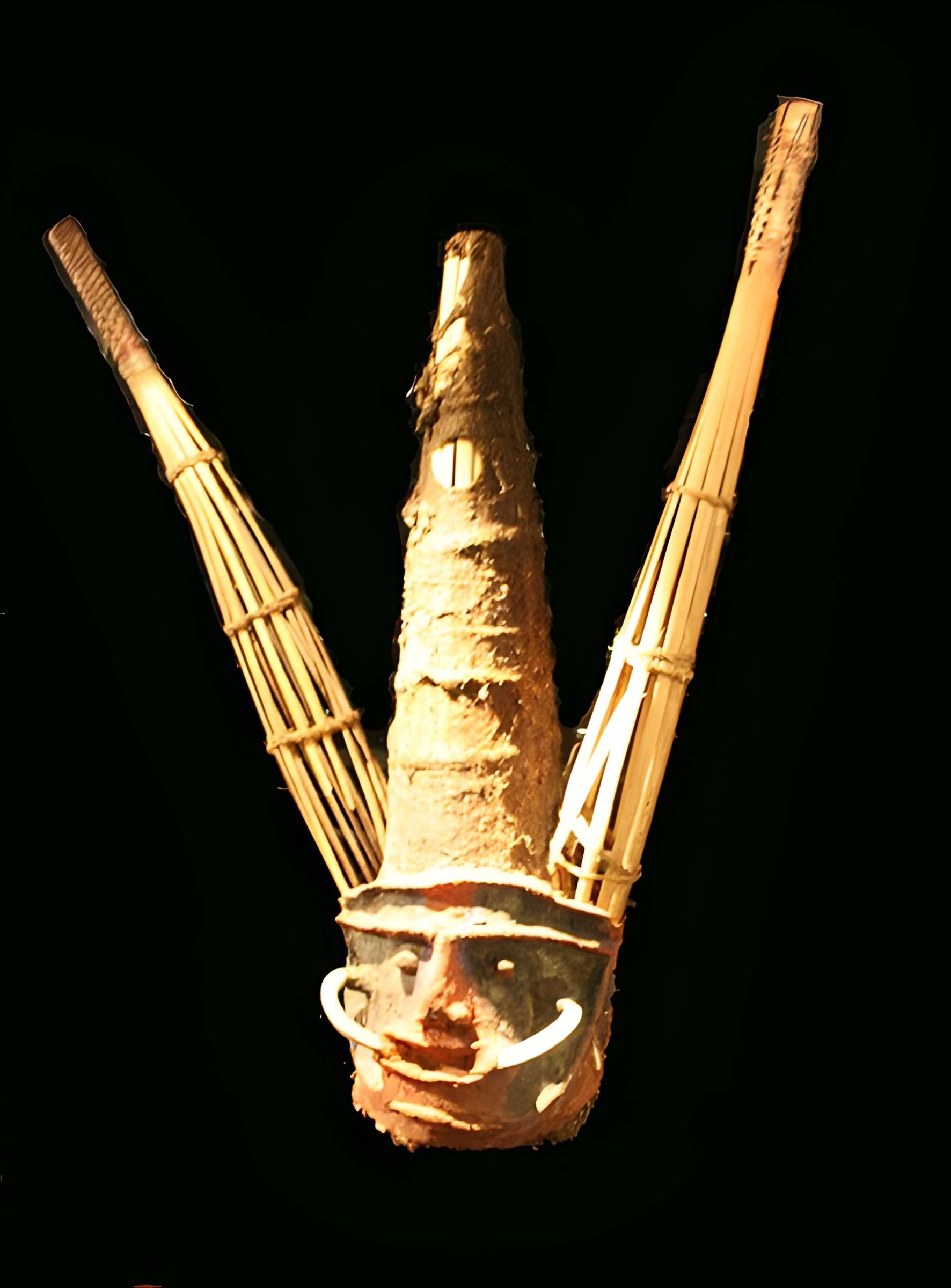 Musée des arts africains, océaniens et amérindiens à Marseille