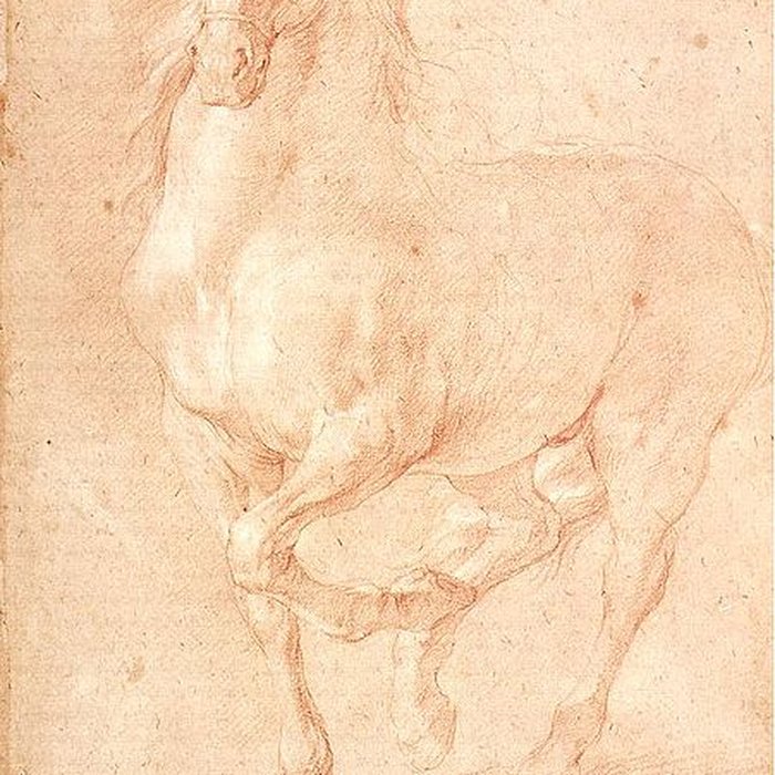 Photo de Musée des beaux-arts de Marseille