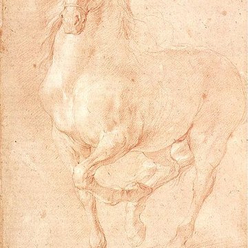 Musée des beaux-arts de Marseille