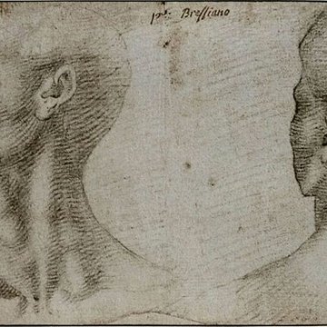 Musée des beaux-arts de Marseille