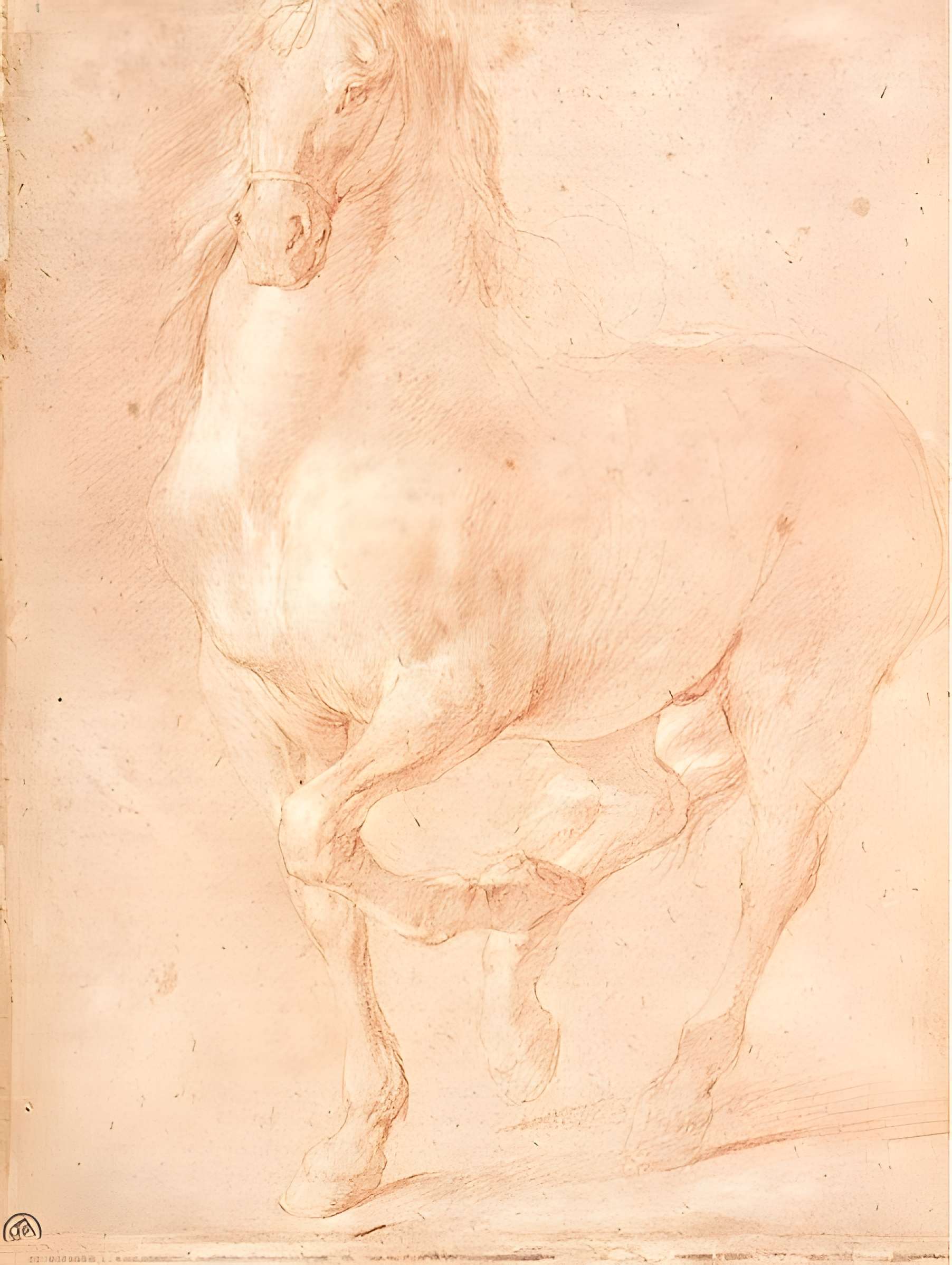 Musée des beaux-arts de Marseille